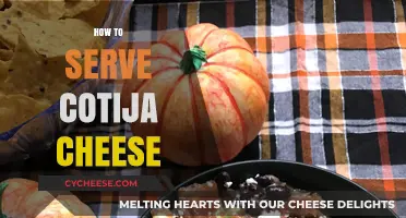 The Ultimate Guide to Serving Cotija Cheese