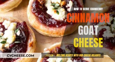 Cranberry-Cinnamon Goat Cheese Delight: A Savory Twist