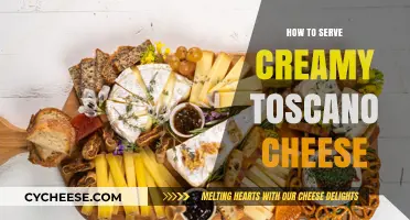 The Creamy Art of Serving Toscano Cheese