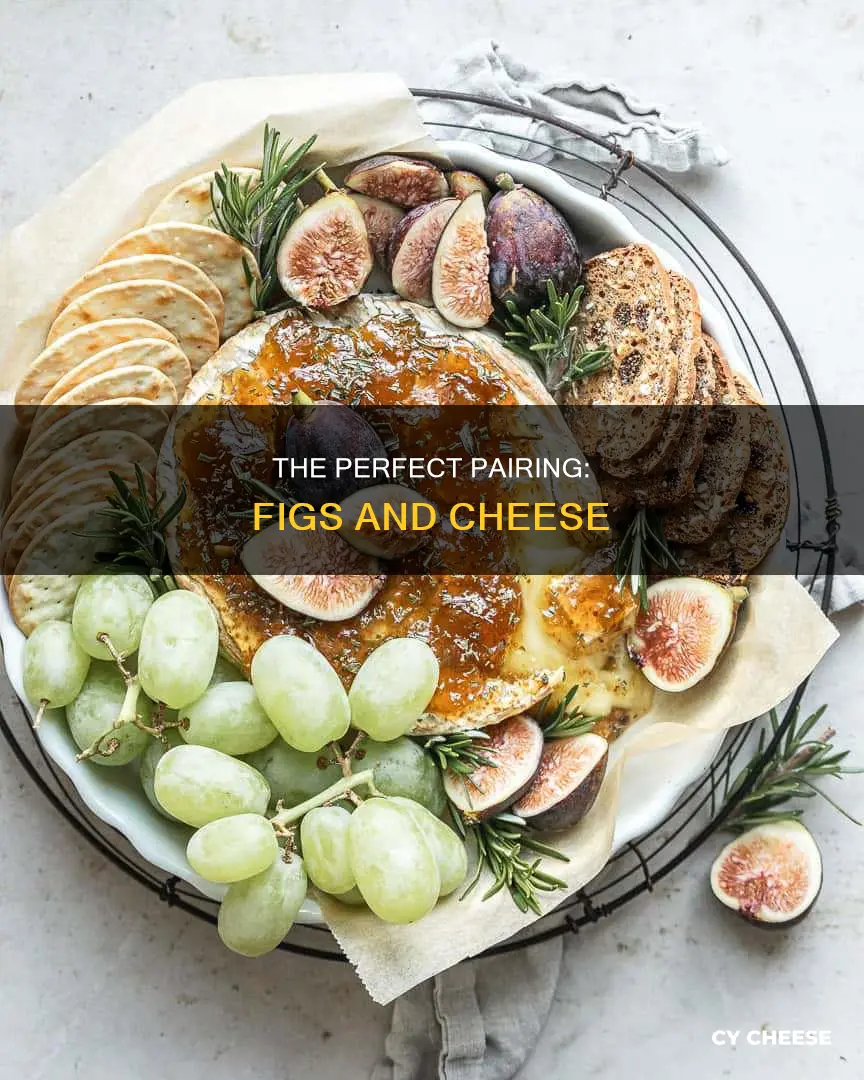how to serve figs with cheese