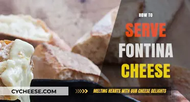 The Art of Serving Fontina Cheese