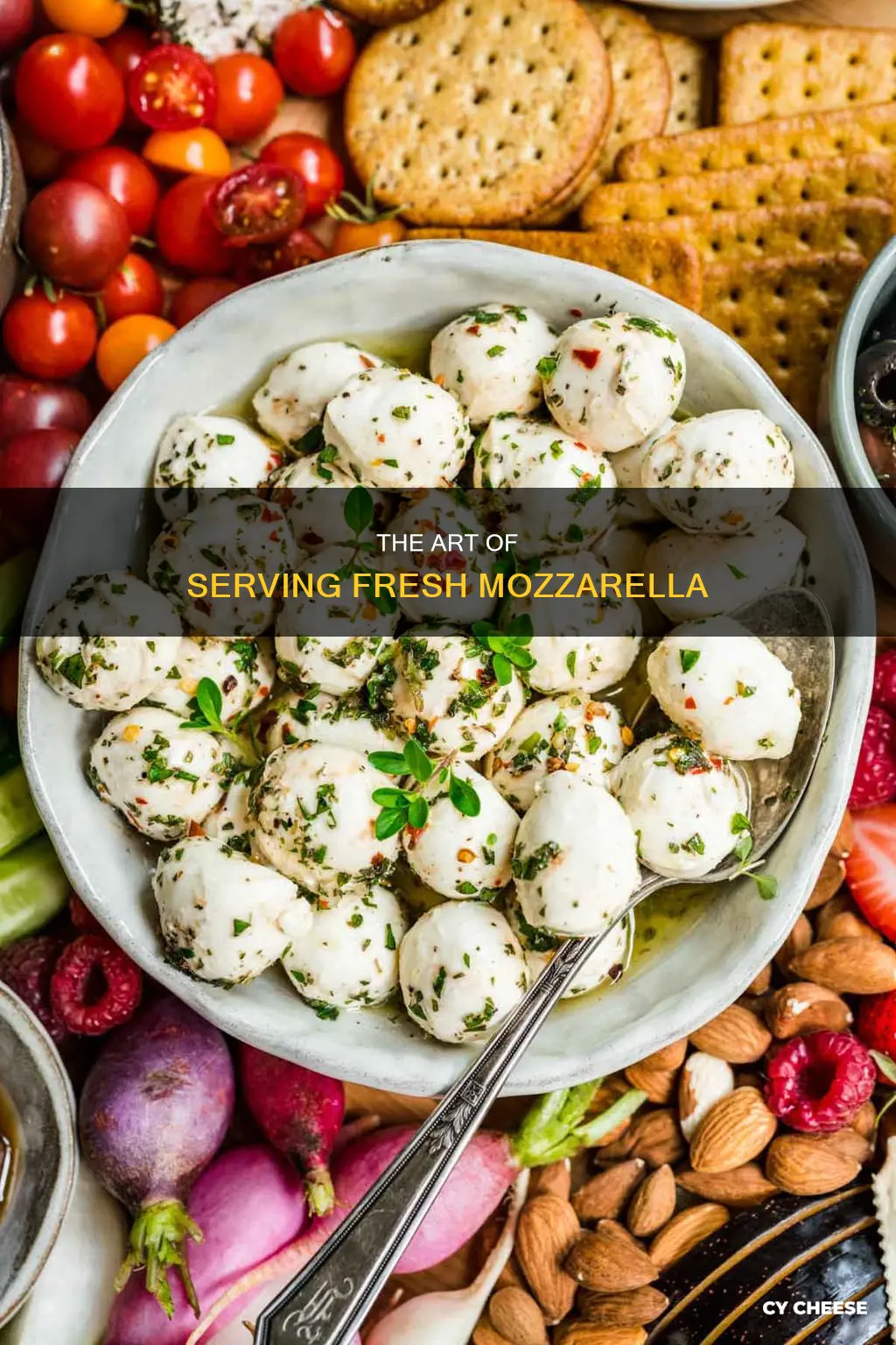 how to serve fresh mozzarella cheese