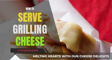 The Perfect Grilling Cheese Platter: A Beginner's Guide