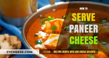 Delicious Ways to Serve Paneer Cheese
