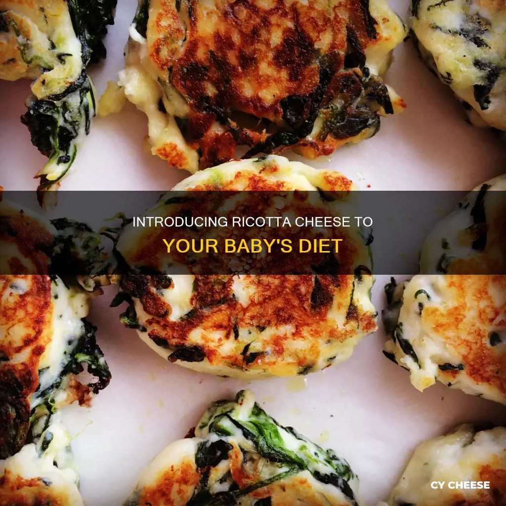 how to serve ricotta cheese to baby