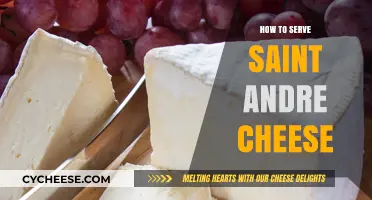 The Art of Serving Saint Andre Cheese