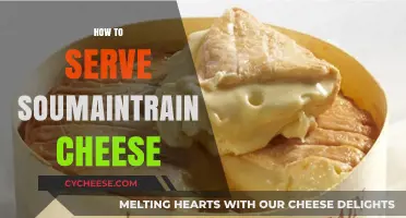 The Art of Serving Soumaintrain: A Beginner's Guide