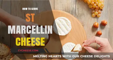Serving St. Marcellin Cheese: A Beginner's Guide