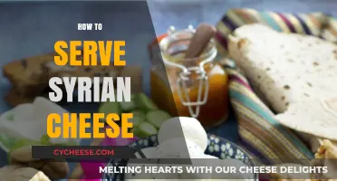 Syrian Cheese: Serving Suggestions and Tips