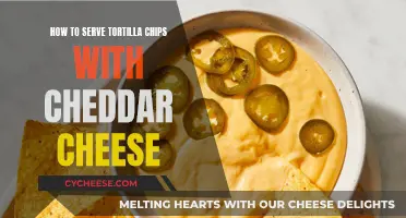 Cheesy Delight: A Guide to Perfect Tortilla Chip and Cheddar Pairing