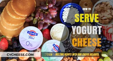 Yogurt Cheese Platter Ideas for Your Next Party