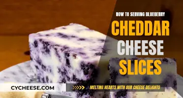 Blueberry Cheddar Slices: A Sweet and Savory Delight