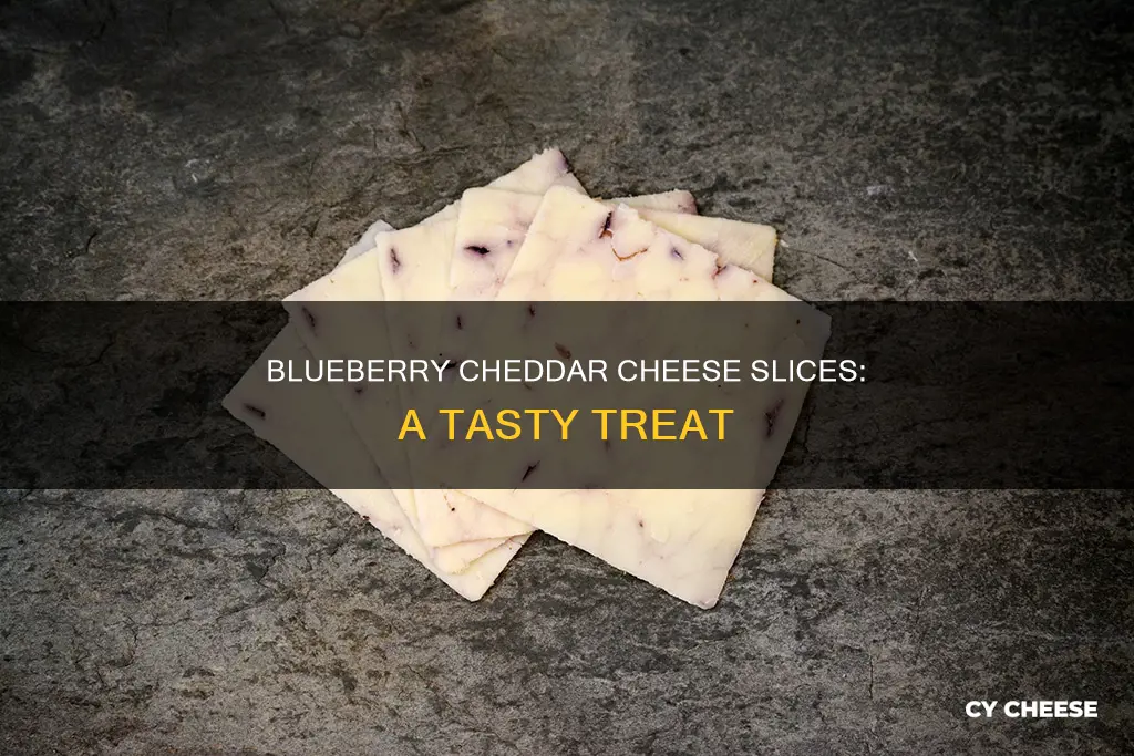 how to serving blueberry cheddar cheese slices