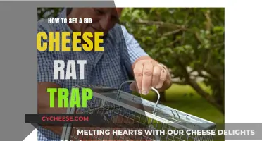 Mastering the Art of Setting a Big Cheese Rat Trap