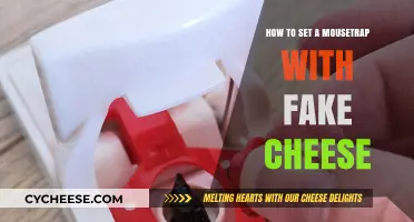 Mastering the Art of Setting Mousetraps with Fake Cheese