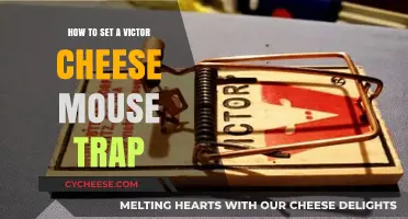 Mastering the Victor Cheese Mouse Trap: A Step-by-Step Guide