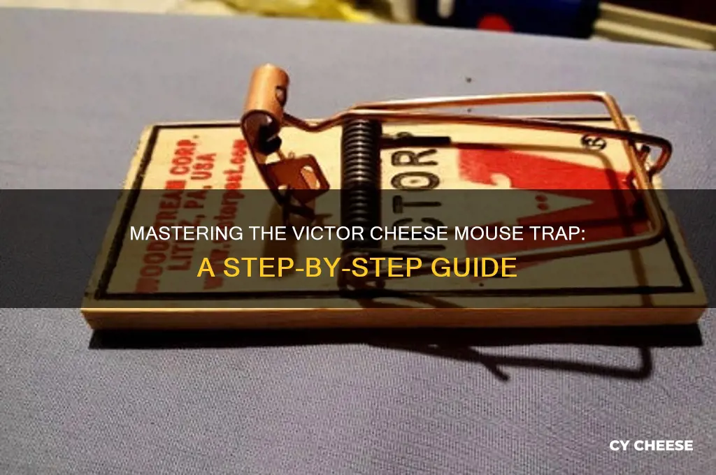 how to set a victor cheese mouse trap