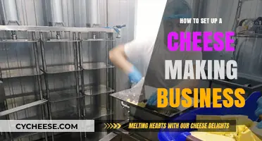 Crafting Curds: A Step-by-Step Guide to Starting Your Cheese Business