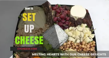 Mastering the Art of Cheese Setup: A Beginner's Guide