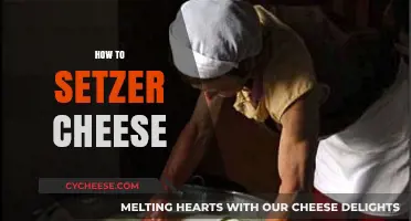 Mastering the Art of Setzer Cheese: A Step-by-Step Guide