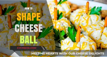 Mastering the Art of Shaping the Perfect Cheese Ball