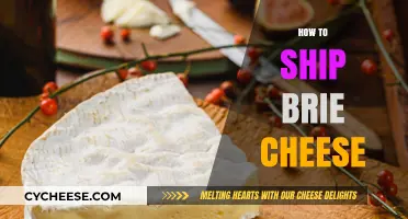 Shipping Brie Cheese: Expert Tips for Safe and Fresh Delivery