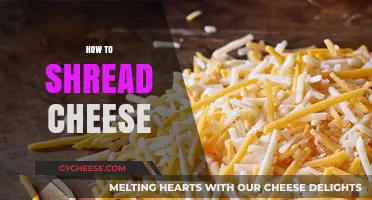 Master the Art of Shredding Cheese: Quick Tips and Techniques