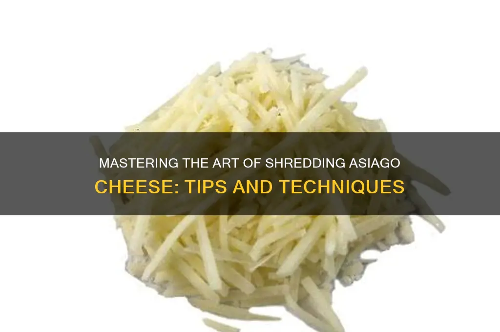 how to shred asiago cheese