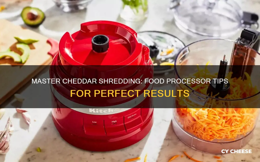 how to shred cheddar cheese in food processor