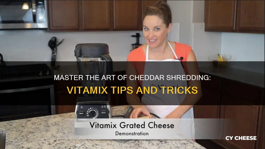 how to shred cheddar cheese in vitamix