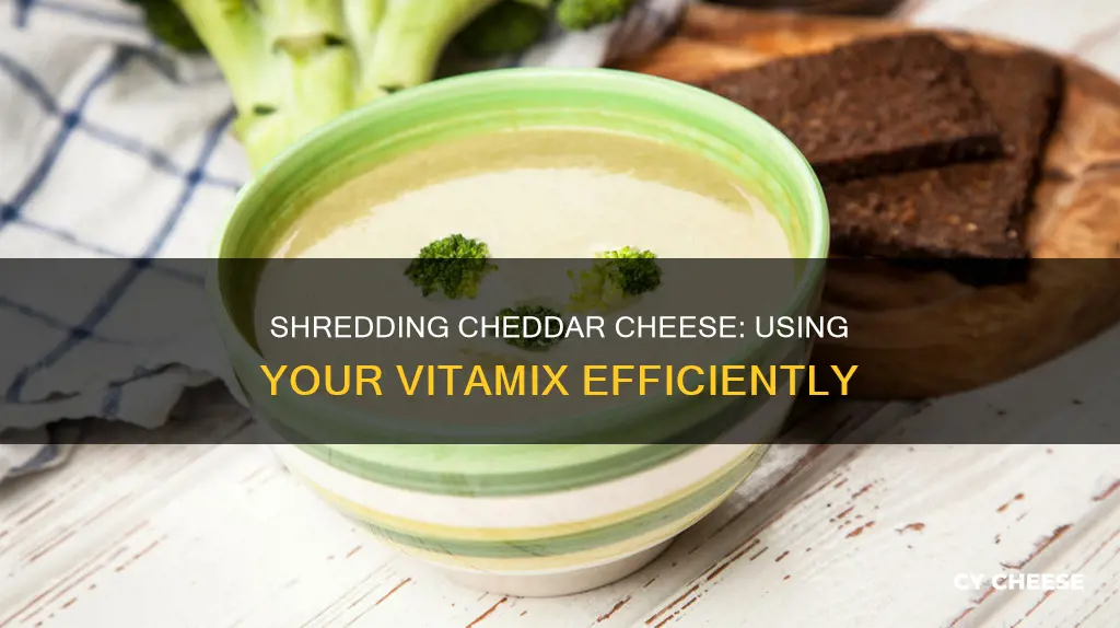 how to shred cheddar cheese in vitamix