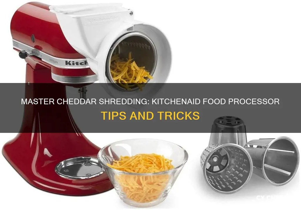 how to shred cheddar cheese with kitchenaid food processor