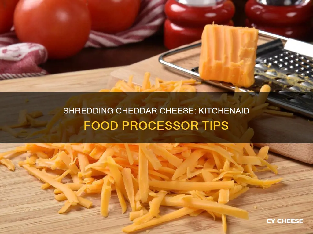 how to shred cheddar cheese with kitchenaid food processor