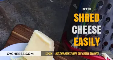 Quick Tips for Effortlessly Shredding Cheese Like a Pro