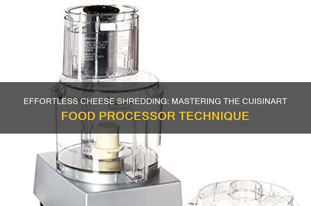 how to shred cheese with cuisinart food processor