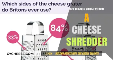 Creative Ways to Shred Cheese Without a Cheese Shredder Easily