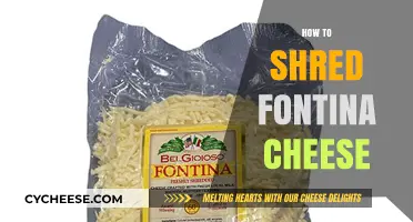 Mastering the Art of Shredding Fontina Cheese: Tips and Techniques