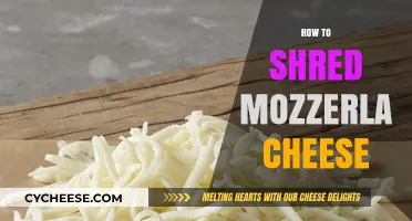 Mastering the Art of Shredding Mozzarella Cheese: Tips and Techniques