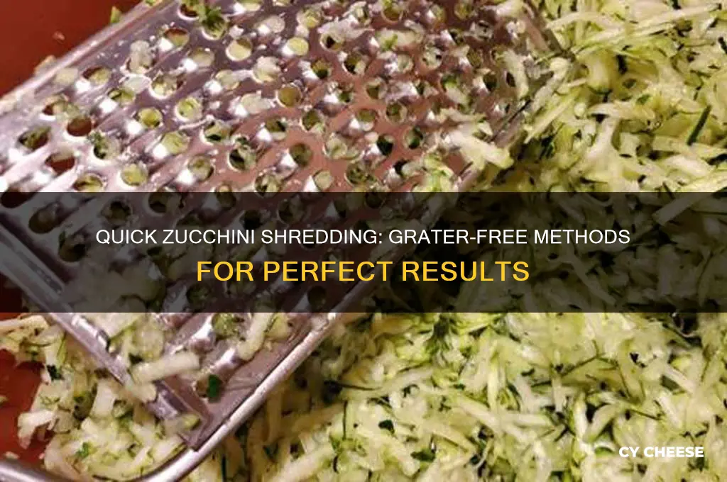 how to shred zucchini without a cheese grater