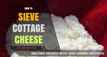 Mastering Cottage Cheese: Simple Steps to Perfectly Sieved Texture