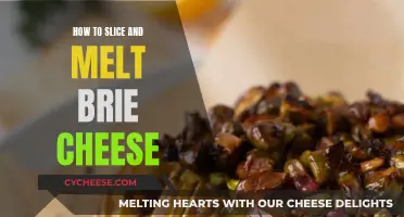 The Perfect Melt: Slicing and Melting Brie Cheese