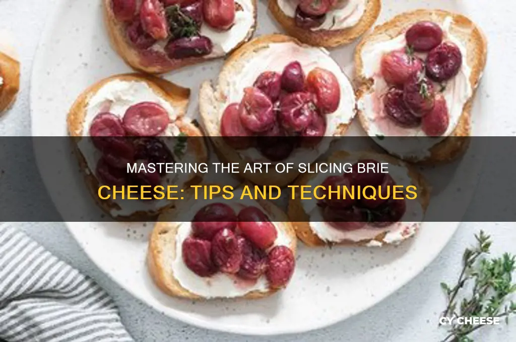 how to slice brie cheese
