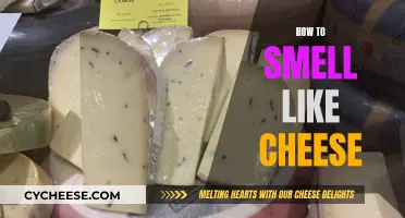 Smelling Like Cheese: A Guide to Aromatic Cheesiness