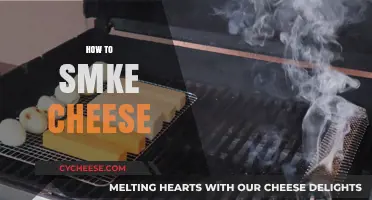 Master the Art of Smoking Cheese: Tips and Techniques for Perfect Results