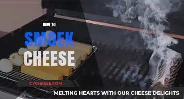 Master the Art of Smoking Cheese: Tips and Techniques for Perfect Flavor
