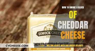 Cheese Smoking 101: Transforming Cheddar into a Culinary Masterpiece