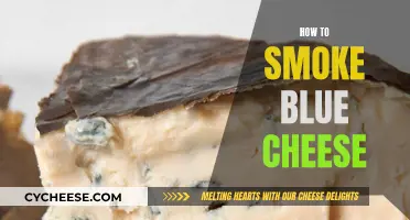 Mastering the Art of Smoking Blue Cheese