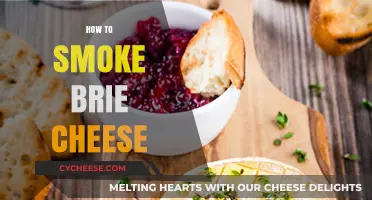 Master the Art of Smoking Brie Cheese: A Step-by-Step Guide