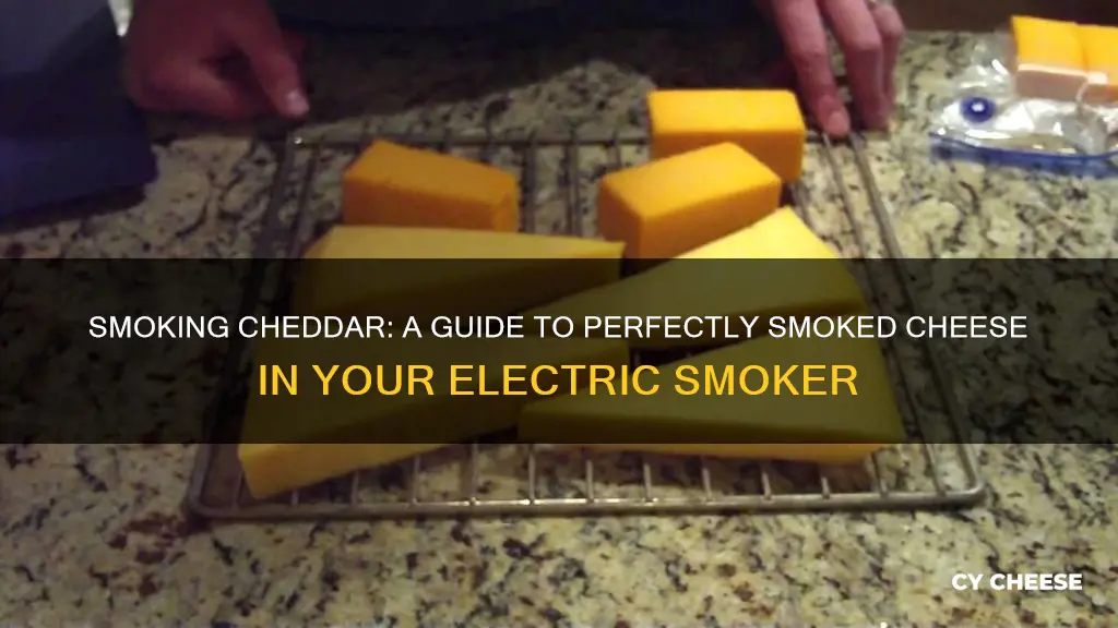 how to smoke cheddar cheese in an electric smoker