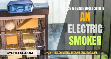 Smoking Cheddar Cheese: Electric Smoker Style